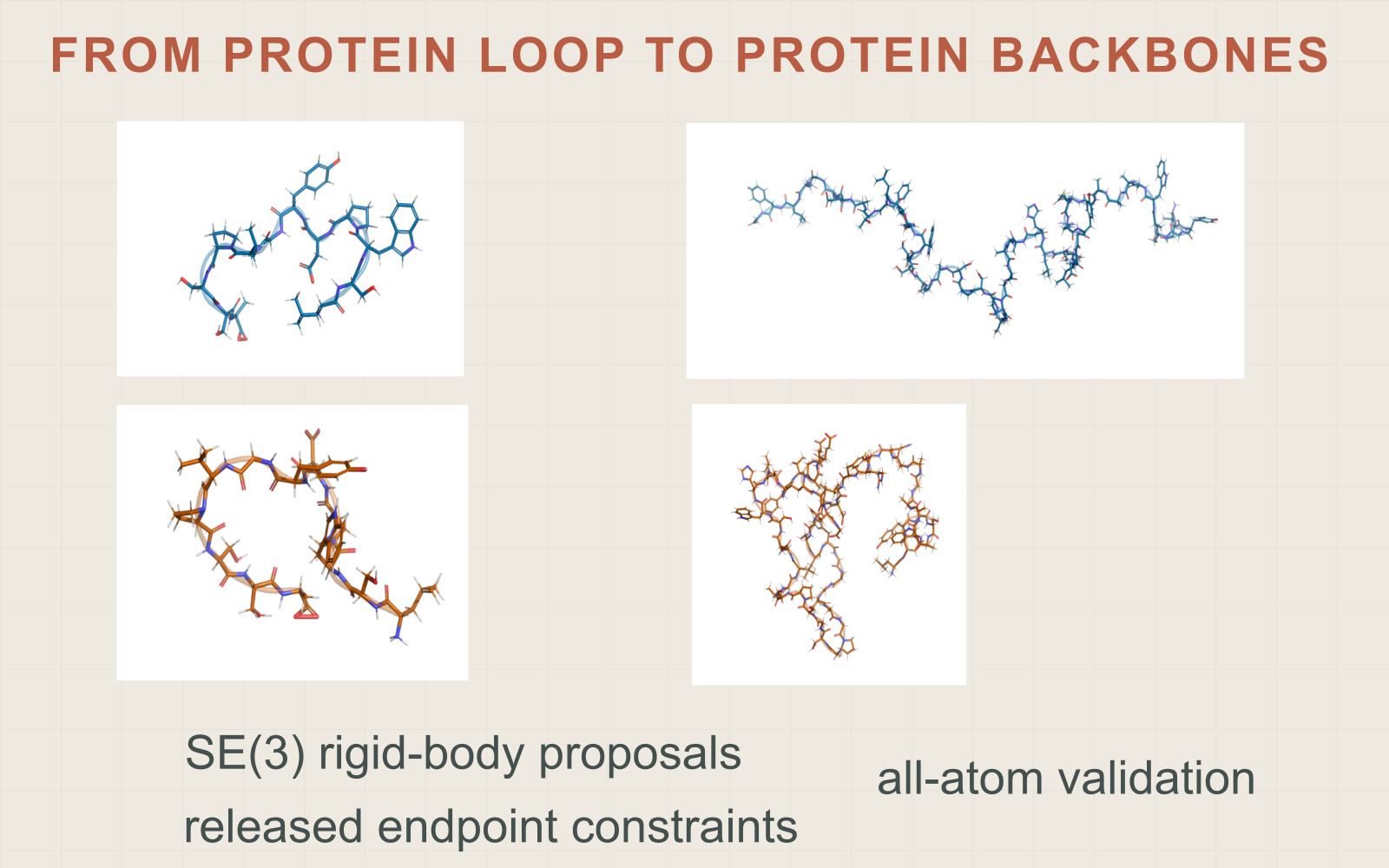 Sampled protein backbone conformations.